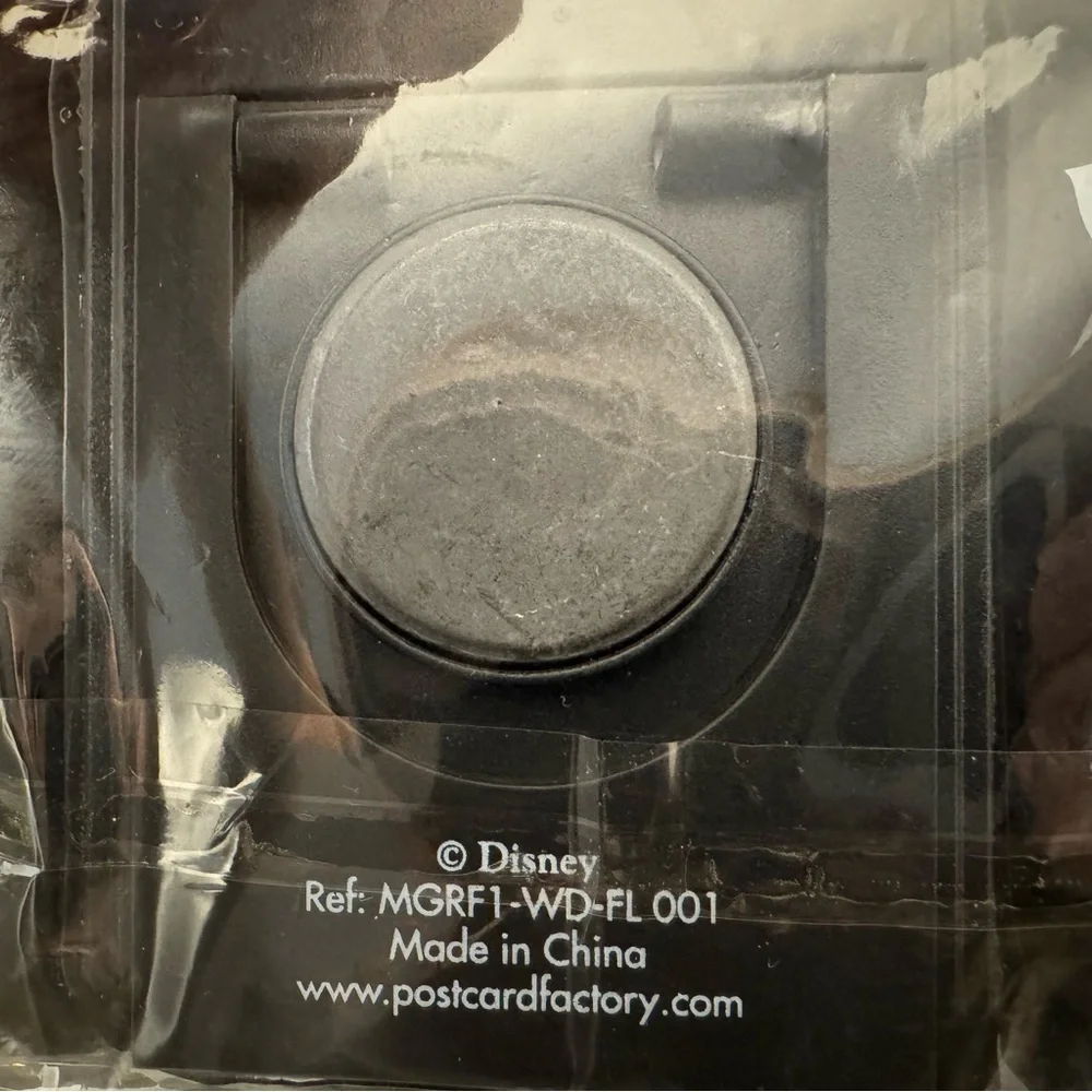 Disney rubber photo